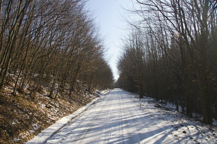 Obyčajný výlet