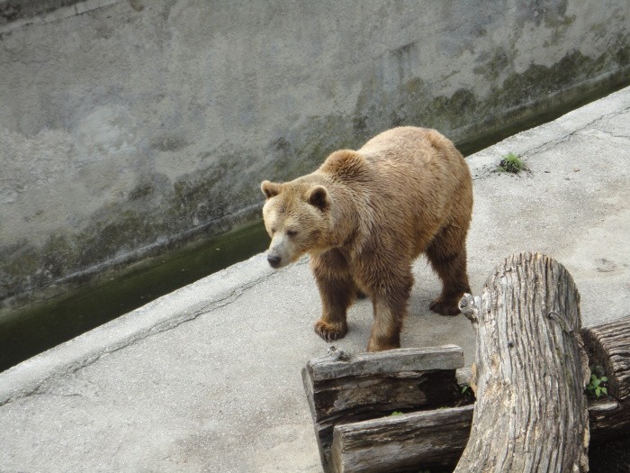 Výprava do ZOO v Brne