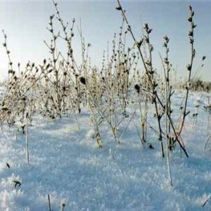 Trojdňovka do Sološnice (7.-9.12.2001)