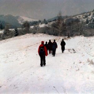 2003