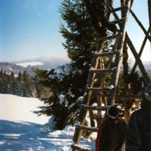 Skoky do hlbokého snehu – kto z väčšej výšky?