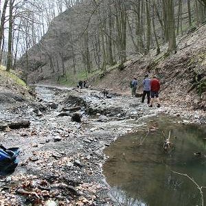 15.4.2006  14:57 / Výsledky povodne z topenia snehu