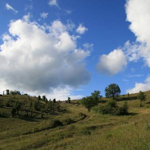 29.8.2006  16:43 / Južný okraj Silickej planiny nad Kečovom