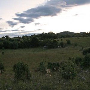 30.8.2006  19:31 / Večer na Plešivskej planine