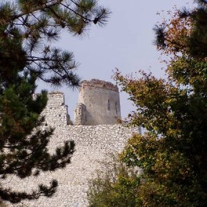 30.9.2006  13:39 / Pohľad na Čachtický hrad pomedzi koruny stromov