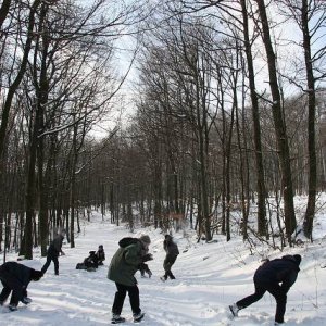 27.1.2007  13:05 / Pravidlá sme tuším zabudli