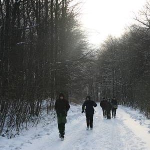 27.1.2007  15:26 / Po snehovej fujavici zase vyšlo slniečko