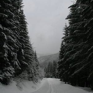 4.3.2007  11:08 / Toto veru na jar príliš nevyzerá