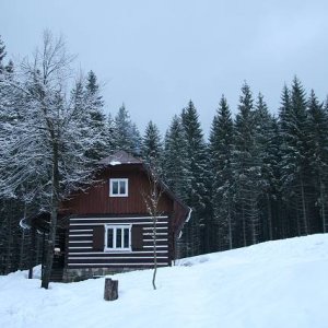 4.3.2007  17:28 / Máme ďalšie zimné ráno