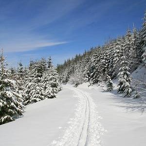 5.3.2007  11:22 / Na slnečných úsekoch sa ale sneh veľmi lepil
