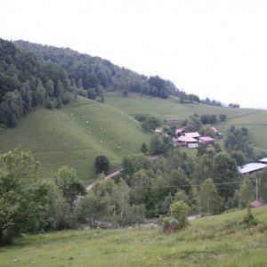 2.6.2007  20:24 / Večer na lazoch