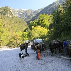 24.8.2007  16:00, autor: Teoretik / Kone mali na starosti zásobovanie horskej chaty, ktorá bola o 1000 m vyššie