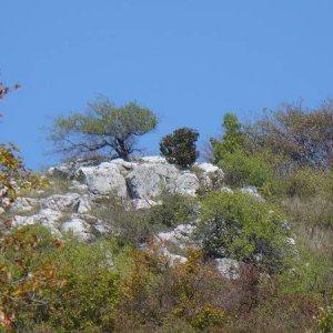 Brigáda na Devínskej Kobyle (14.9-14.10.2007)