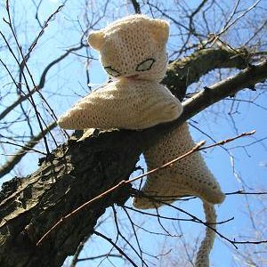 15.3.2008  11:46, autor: Teoretik / Mačiatko utieklo na strom a nechcelo zísť dole