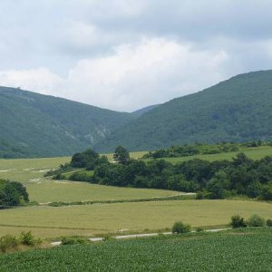 26.6.2008  10:50, autor: Amigo / Malebný kraj v okolí Slatinky nad Bebravou