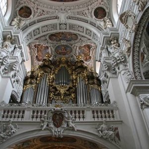 20.8.2008  14:10, autor: Teoretik / Najväčší organ v Európe