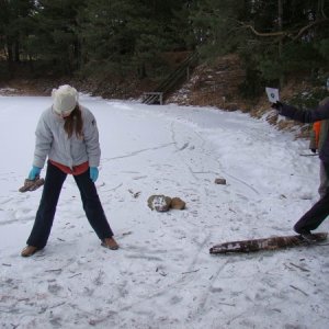 30.1.2009  8:23