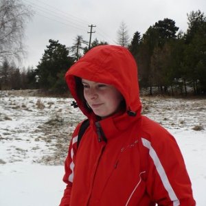 31.1.2009  12:52