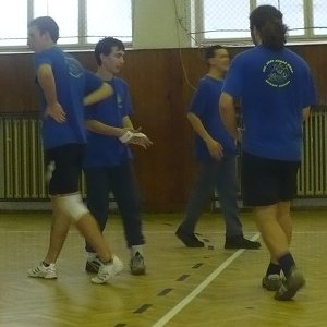 7.2.2009  15:58 / Madžentoví hrošíci obhliadajú súpera a aj terén
