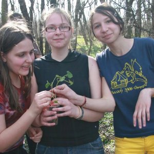 4.4.2009  15:23, autor: Teoretik / Opatrne s tou rastlinou...