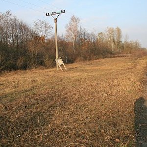 14.11.2009  14:10, autor: Teoretik / Výsledok našej práce