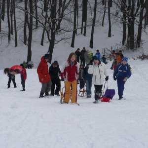2010