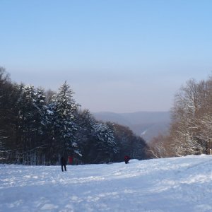 2010