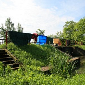 29.5.2010 9:03, autor: Teoretik / Sušíme veci po nočnom lejaku