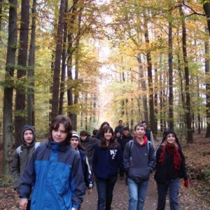 16.10.2010 11:17, autor: MartinKa / Prechádzame cez jesenný les smerom na Prievaly