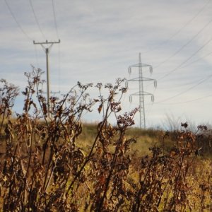 13.11.2010 10:41 /                                
