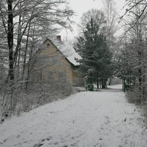 27.11.2010 10:46, autor: Teoretik / Tento deň už bol zimný