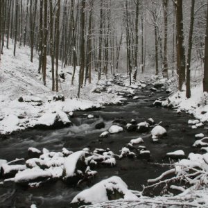 Európska trojdňovka (26.-28.11.2010)