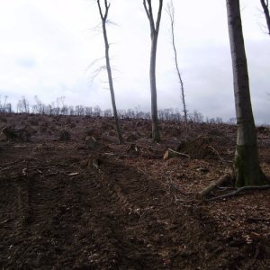 2011
