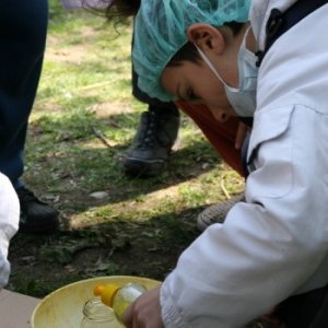 9.4.2011 12:20, autor: Teoretik