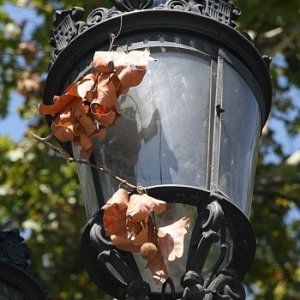 21.8.2011 12:41