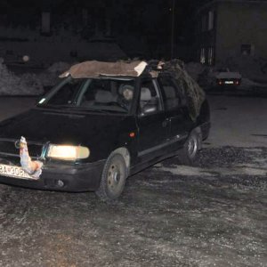 2.2.2012 22:10, autor: Chamurapi / Mamut