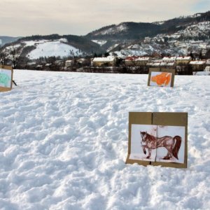 3.2.2012 11:08 / Praveké šabľozubé zvery