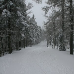 19.2.2012 10:48, autor: Teoretik / Pred nami bola hotová zimná rozprávka