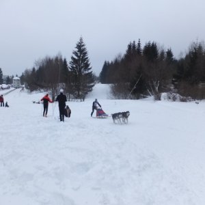 19.2.2012 12:33, autor: Chamurapi