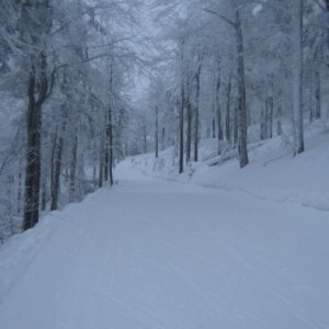 19.2.2012 17:02, autor: Škrečok