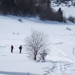 20.2.2012 13:25, autor: Chamurapi