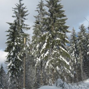 Zimný tábor Kremnické vrchy (18. až 25.2.2012)