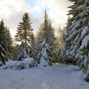 20.2.2012 16:03, autor: Teoretik / Podvečerný zjazd na Krahule