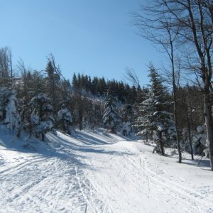 21.2.2012 12:04, autor: Škrečok