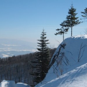 21.2.2012 12:14, autor: Škrečok