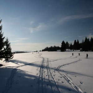 21.2.2012 15:52, autor: Teoretik / Cestou na Kremnický štít