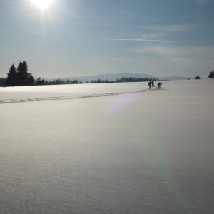 21.2.2012 15:55, autor: Chamurapi