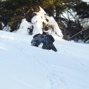 21.2.2012 16:32, autor: Chamurapi