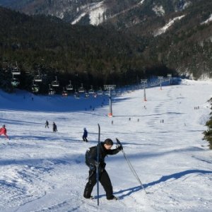 22.2.2012 10:24, autor: Teoretik / Škrečok len s jednou bežkou