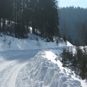 22.2.2012 13:24, autor: Škrečok